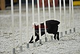 zomer wedstrijd someren zaterdag
