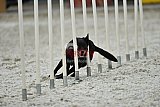 zomer wedstrijd someren zaterdag