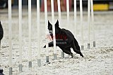 zomer wedstrijd someren zaterdag