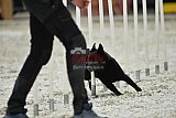 zomer wedstrijd someren zaterdag