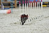 zomer wedstrijd someren zaterdag