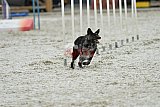 zomer wedstrijd someren zaterdag