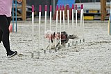 zomer wedstrijd someren zaterdag