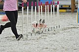 zomer wedstrijd someren zaterdag