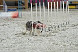 zomer wedstrijd someren zaterdag