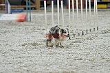 zomer wedstrijd someren zaterdag