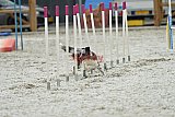 zomer wedstrijd someren zaterdag