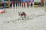 zomer wedstrijd someren zaterdag