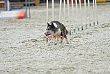 zomer wedstrijd someren zaterdag