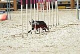 zomer wedstrijd someren zaterdag