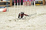 zomer wedstrijd someren zaterdag