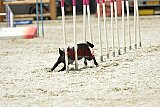 zomer wedstrijd someren zaterdag