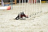zomer wedstrijd someren zaterdag