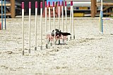 zomer wedstrijd someren zaterdag