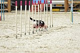 zomer wedstrijd someren zaterdag