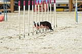 zomer wedstrijd someren zaterdag
