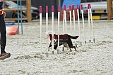 zomer wedstrijd someren zaterdag