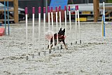 zomer wedstrijd someren zaterdag