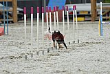 zomer wedstrijd someren zaterdag