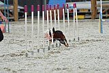 zomer wedstrijd someren zaterdag