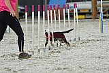 zomer wedstrijd someren zaterdag
