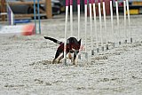zomer wedstrijd someren zaterdag