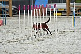 zomer wedstrijd someren zaterdag