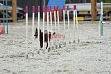 zomer wedstrijd someren zaterdag