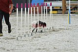 zomer wedstrijd someren zaterdag
