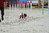 zomer wedstrijd someren zaterdag