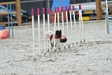 zomer wedstrijd someren zaterdag