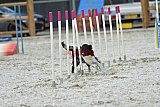 zomer wedstrijd someren zaterdag