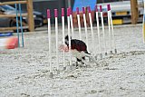 zomer wedstrijd someren zaterdag