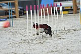 zomer wedstrijd someren zaterdag