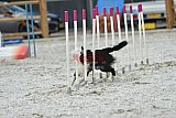 zomer wedstrijd someren zaterdag