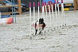 zomer wedstrijd someren zaterdag