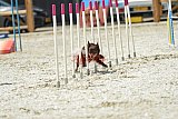 zomer wedstrijd someren zaterdag
