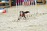 zomer wedstrijd someren zaterdag