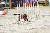 zomer wedstrijd someren zaterdag