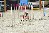 zomer wedstrijd someren zaterdag