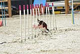 zomer wedstrijd someren zaterdag