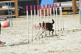zomer wedstrijd someren zaterdag