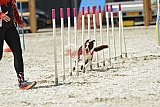 zomer wedstrijd someren zaterdag