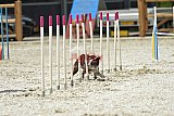 zomer wedstrijd someren zaterdag
