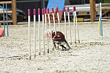 zomer wedstrijd someren zaterdag