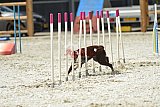 zomer wedstrijd someren zaterdag