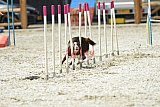 zomer wedstrijd someren zaterdag