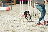 zomer wedstrijd someren zaterdag