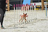 zomer wedstrijd someren zaterdag