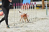 zomer wedstrijd someren zaterdag